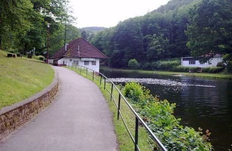 Barenlochweiher