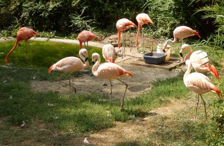 Tierpark