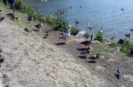 Les Berges de la Liane