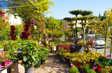 Jardinerie Farigoulette