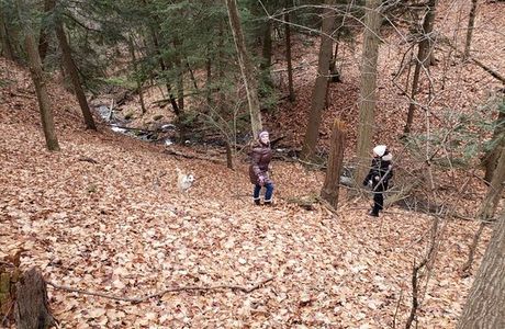 Heber Down Conservation Area