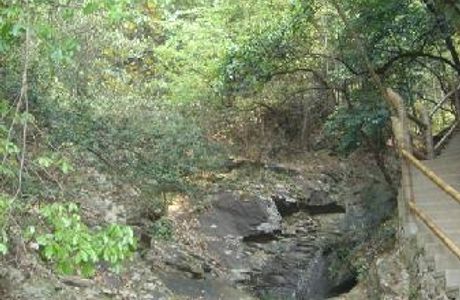 Mt. Yashan Forest Park