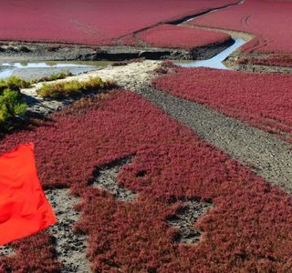 Zhongxing Park of Panjin