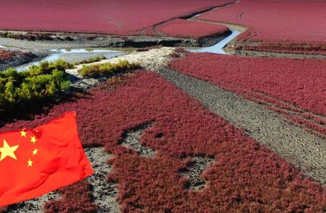 Zhongxing Park of Panjin