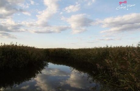 Weihai Dingxiang Resort Community