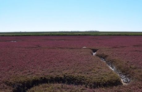 Panjin Lakeside Park