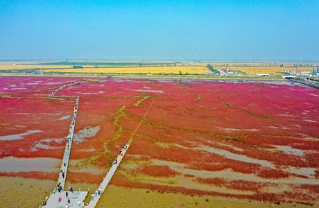 DaShang ZhongYang ShangYeJie