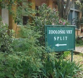 Split Zoo