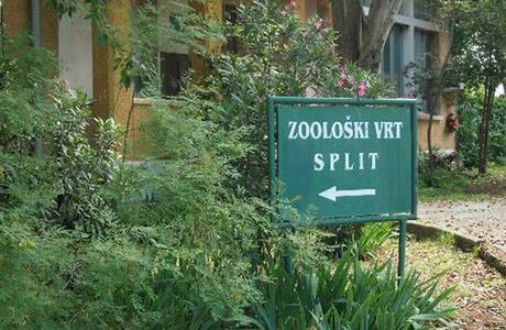 Split Zoo