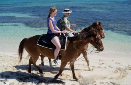 Pampered Ponies, Limited