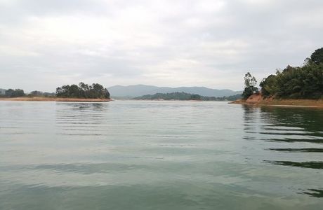 Dragon and Phoenix Island