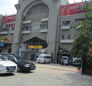 Psycho Cat's Paradise