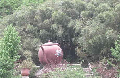 Yangzi Valley