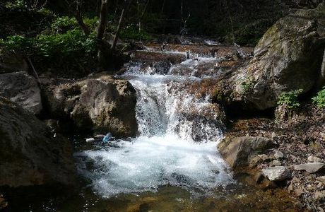 Chongdu Ditch