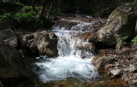 Chongdu Ditch 1