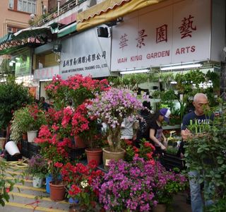 Flower Market Road