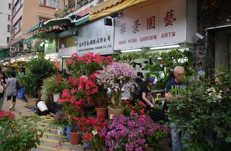 Flower Market Road