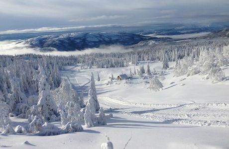 Lifjell