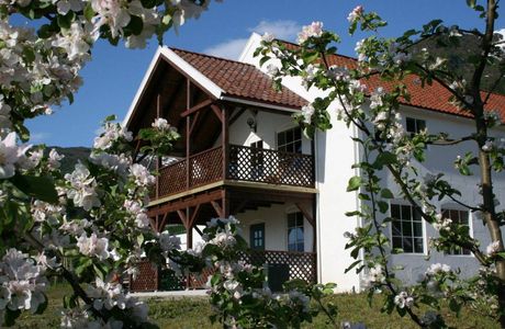 The Cider House - Cidertasting and Shop