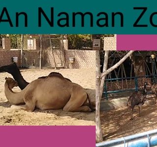 An Naman Zoo