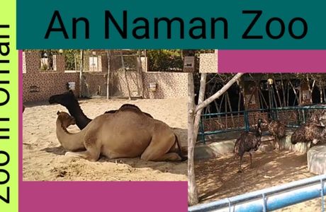 An Naman Zoo