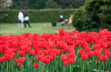 Ogrod Botaniczny w Lodzi