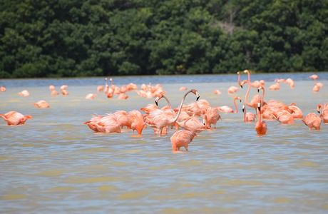 Celestun Wildlife Refuge