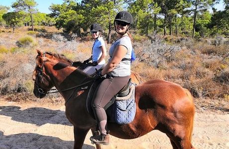 Pinetrees Horse Riding