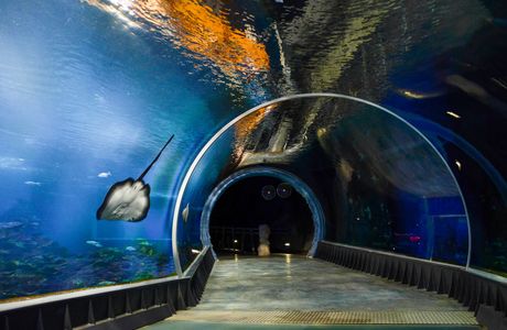 Wroclaw Zoo & Afrykarium