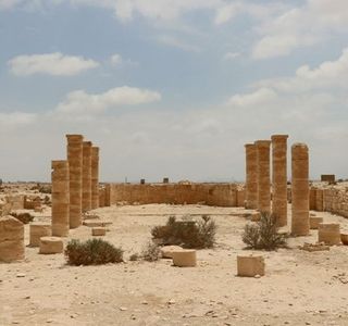 Nitzana National Park