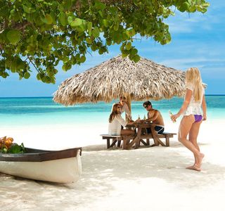 Now Or Never Vacation Tours