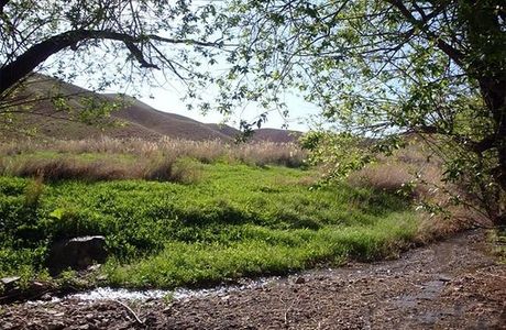 Salook National Park