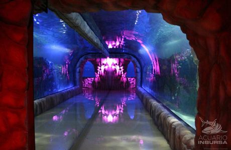 Acuario Inbursa