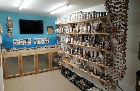 Seashell Museum