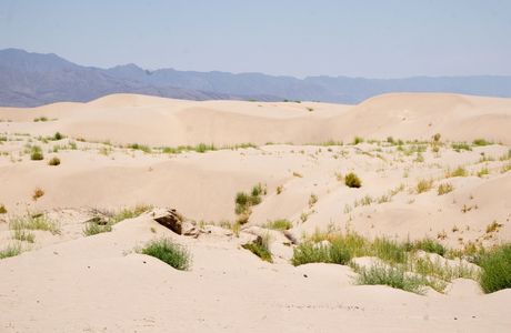 Dunas de Bilbao