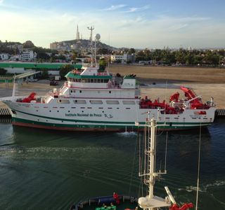 Baja Ferries
