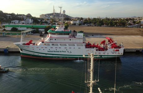 Baja Ferries