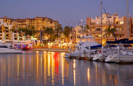 Lipchak Transportation