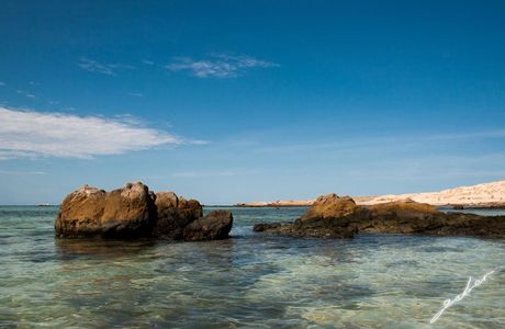 Punta Arena