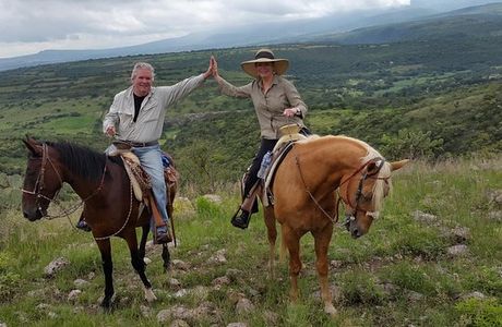 Leisurely Country Horseback Riding