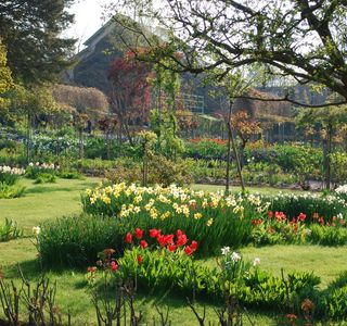 Judith Queree's Garden