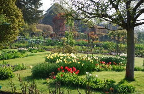 Judith Queree's Garden