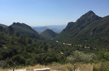 Paraje Natural Municipal Parpallo-Borrell