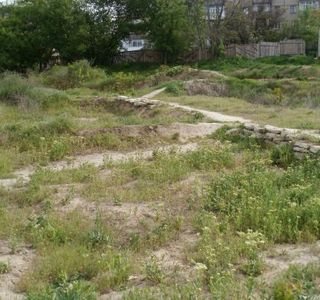 Dikiy Sad Ancient Settlement
