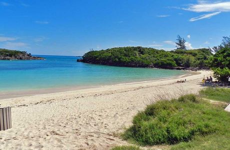 Turtle Bay