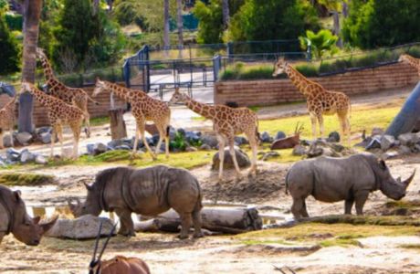 C & J's Animal Park