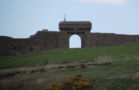 Torry Battery