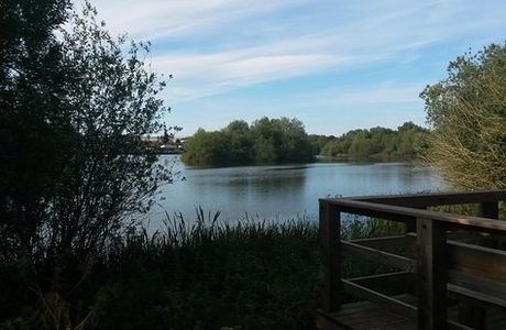 Ditchford Lakes and Meadows Nature Reserve