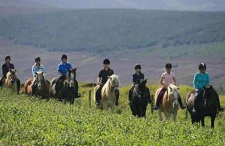 Ballahimmin Riding & Pony Trekking Centre