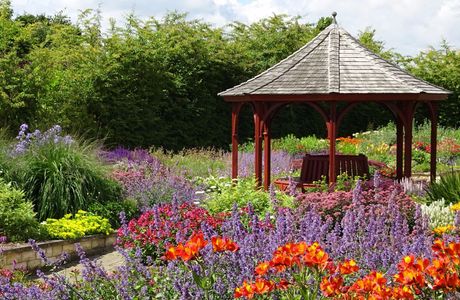Breezy Knees Gardens